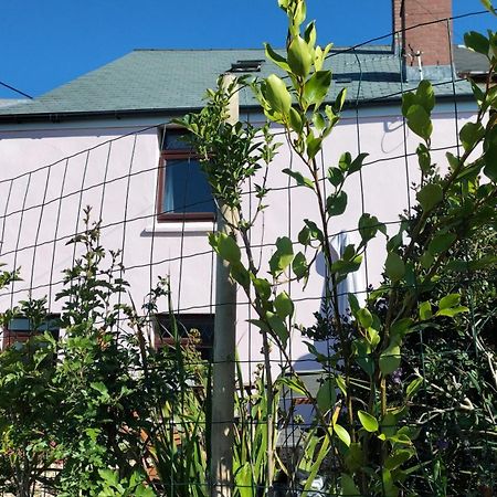 Clearview Cottage St Austell Exterior foto