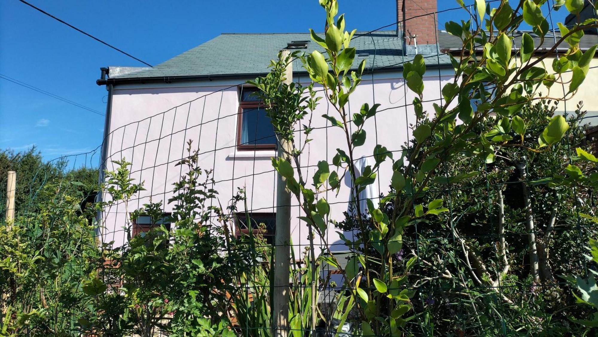 Clearview Cottage St Austell Exterior foto